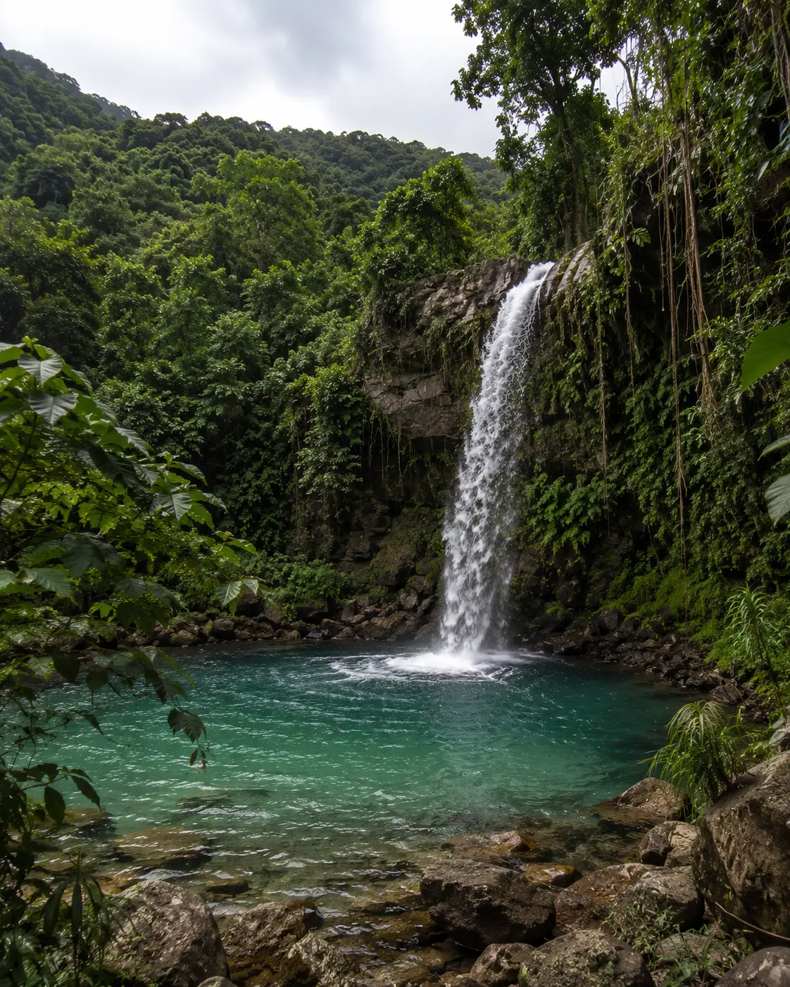 Jamaican waterfall in lush rainforest