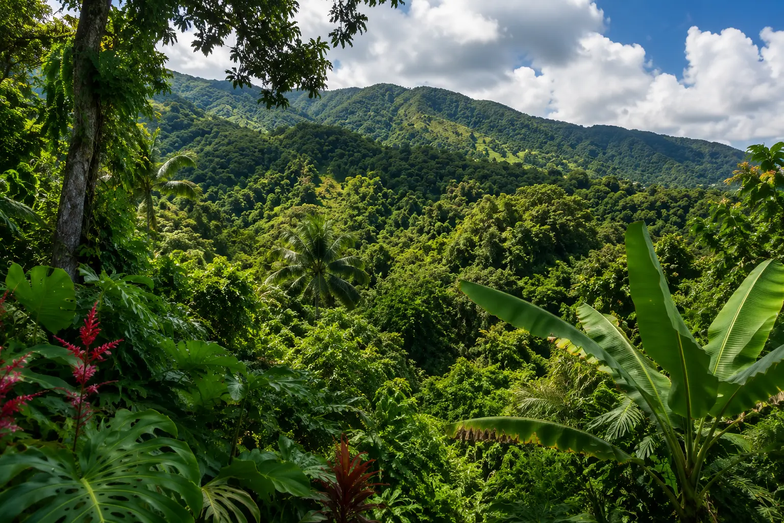 Jamaican mountain landscape